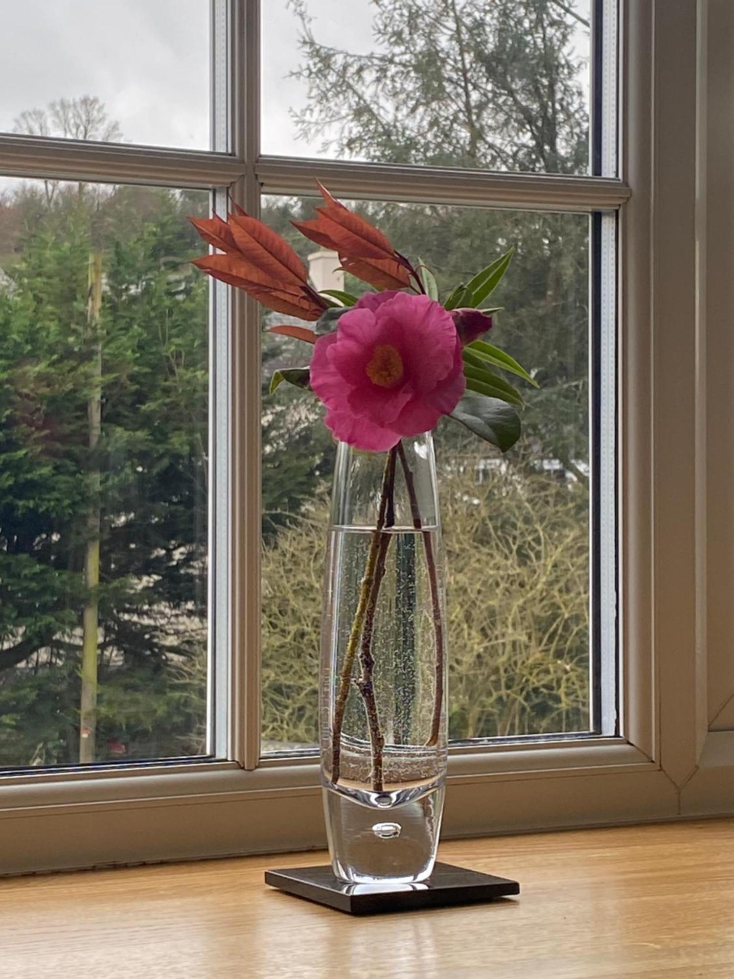 Lynwood House Bed And Breakfast Tregoney Buitenkant foto